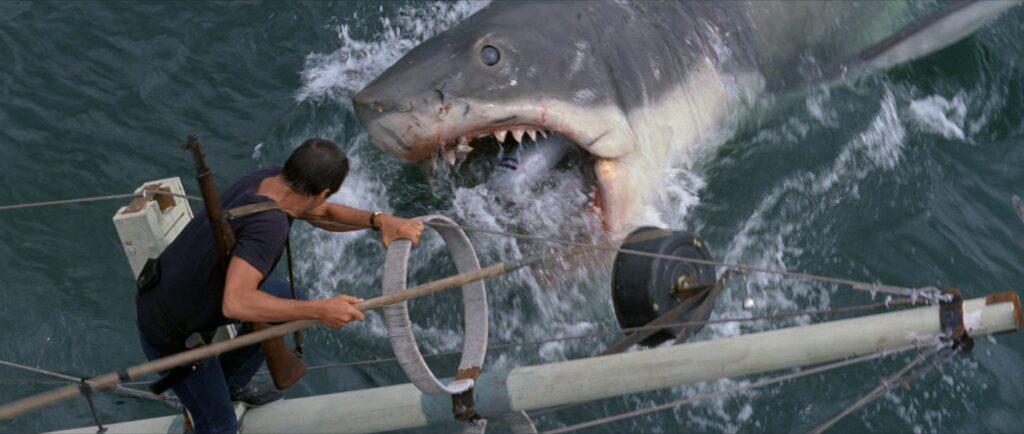 Jaws - lo squalo - una scena del film