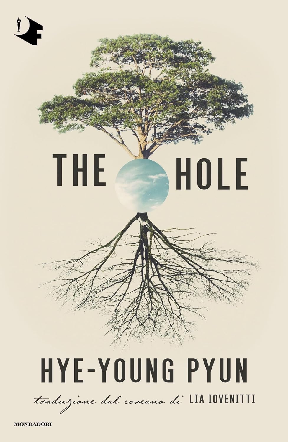 The hole di Hye-young Pyun